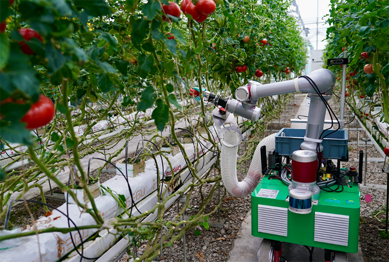 恒溫恒濕可應(yīng)用于農(nóng)業(yè)生產(chǎn)設(shè)備的試驗測試